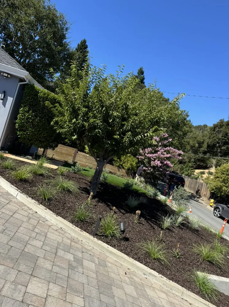 Affordable lawn mowing service in San José, CA - M&G Garden Service and Clean Up