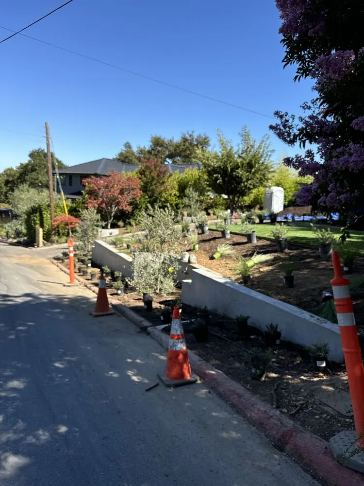 Reliable landscaping services near you across San José, CA - M&G Garden Service and Clean Up