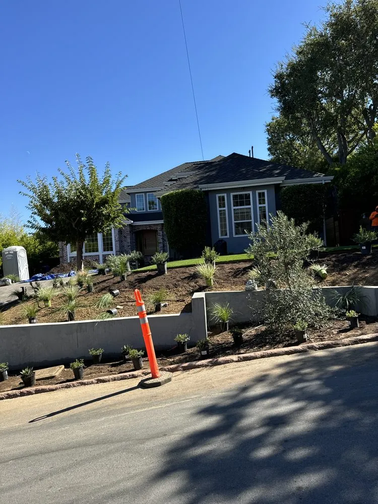 Top-rated lawn care service in San José, CA by M&G Garden Service and Clean Up