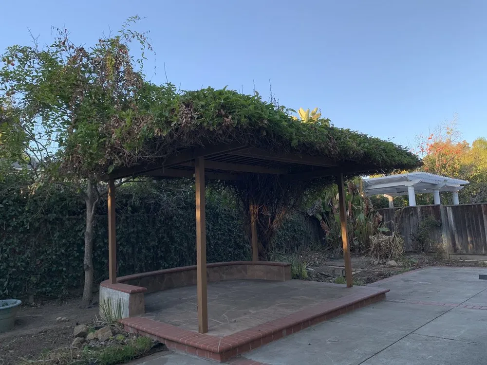 Professional landscape installation for beautiful yards across San Jose, CA - MG Gardening & Landscaping