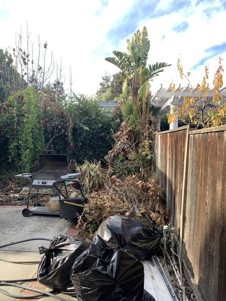 Local landscaping services in San Jose, CA by MG Gardening & Landscaping