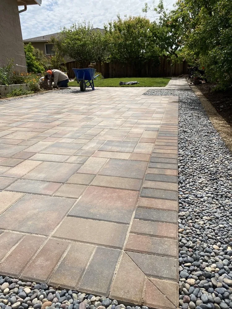 Local yard cleanup service for year-round maintenance in San Jose, CA by MG Gardening SJ