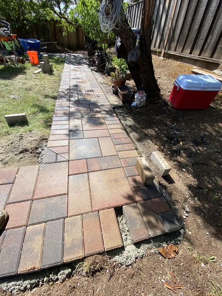 Top-rated yard maintenance in San Jose, CA - MG Gardening SJ