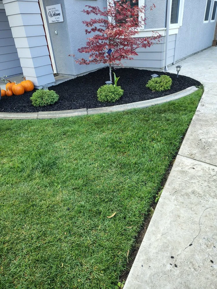 Professional residential landscaping in Riverbank, CA by M&g hauling & yard work services