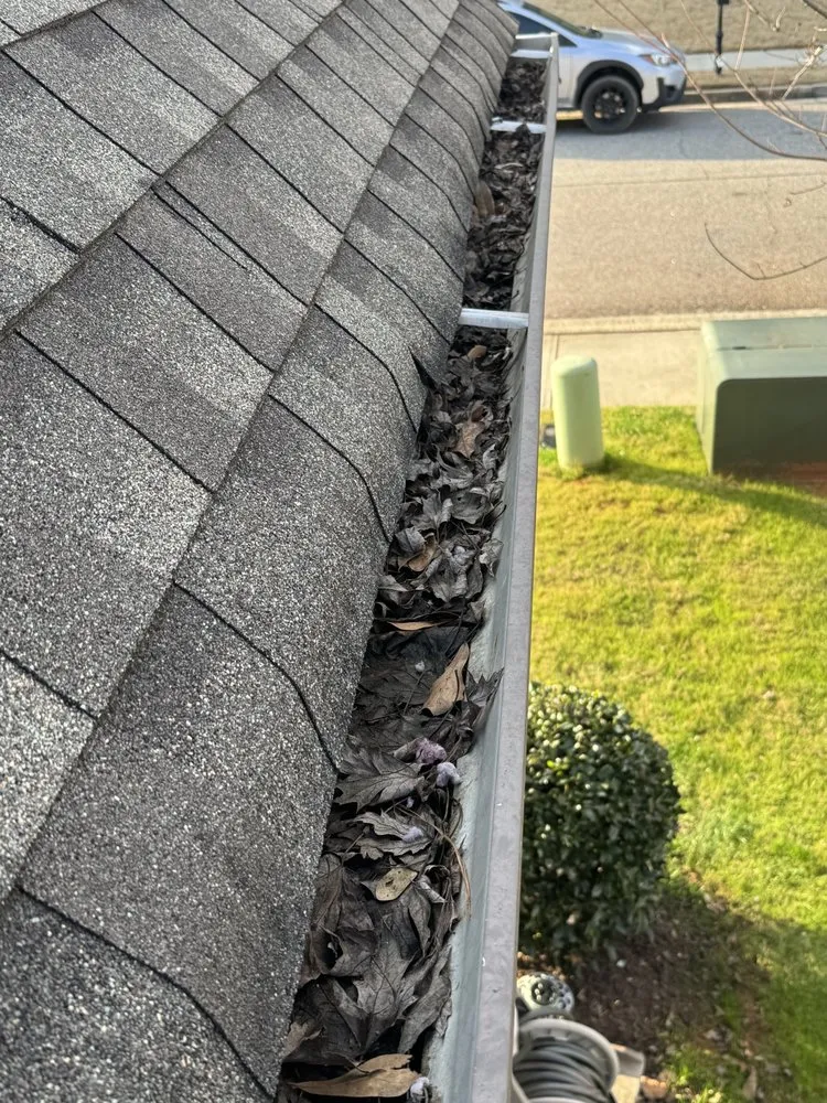 Trusted lawn care service experts serving Athens, GA - MG Home Improvement & Landscaping