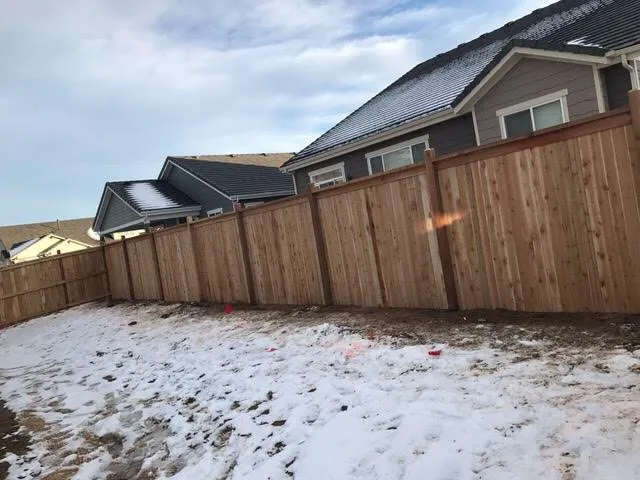 Trusted yard cleanup service experts serving Longmont, CO - Mg Landscape and Fence