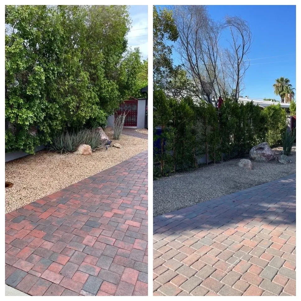 Affordable garden landscaping in Palm Desert, CA by MG Landscape