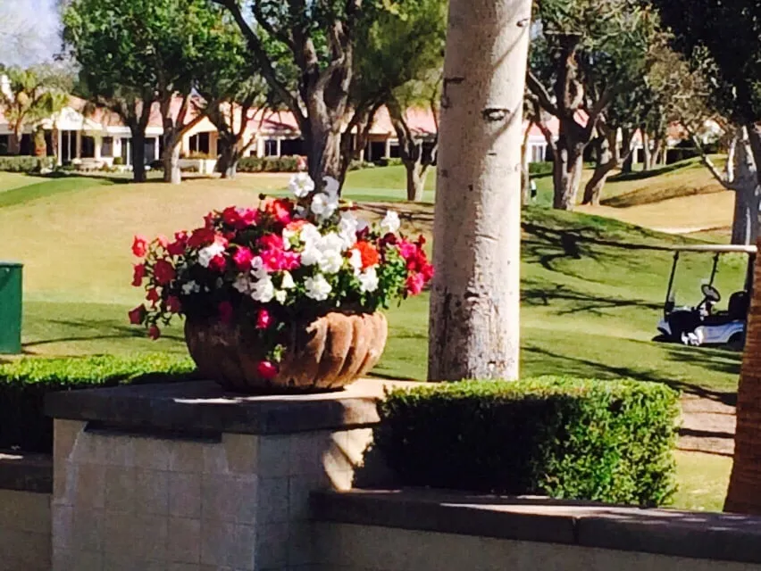 Local garden landscaping in Palm Desert, CA - MG Landscape