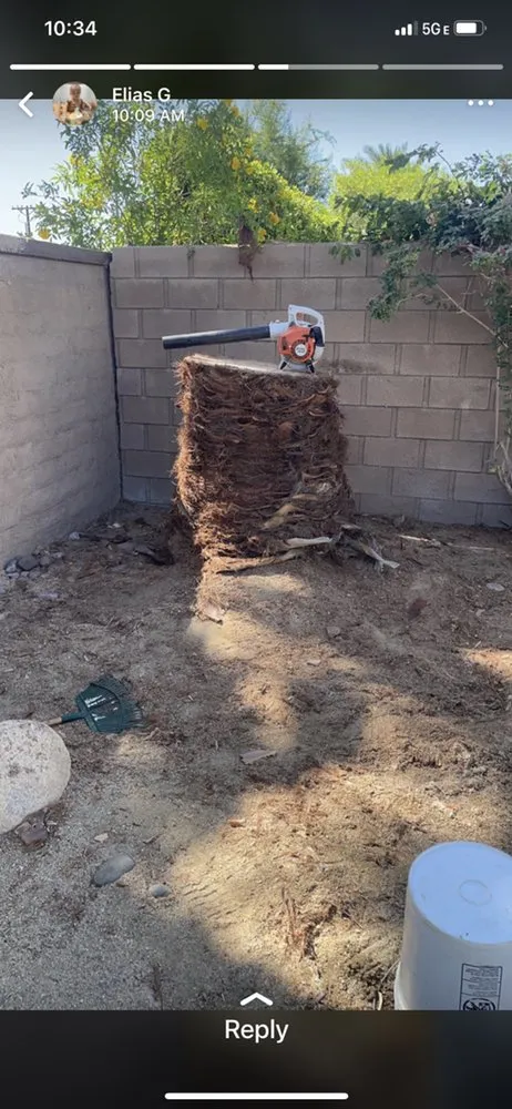 Custom lawn care service in Palm Desert, CA - MG Landscape