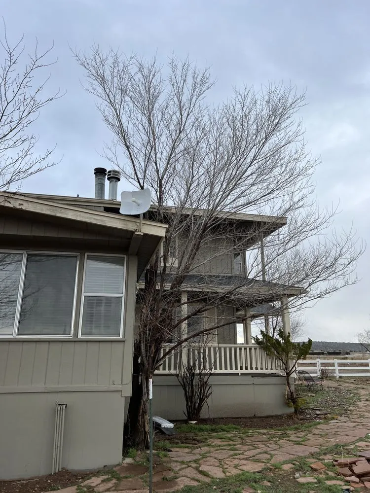 Professional lawn care service in Prescott Valley, AZ - M&G Landscape