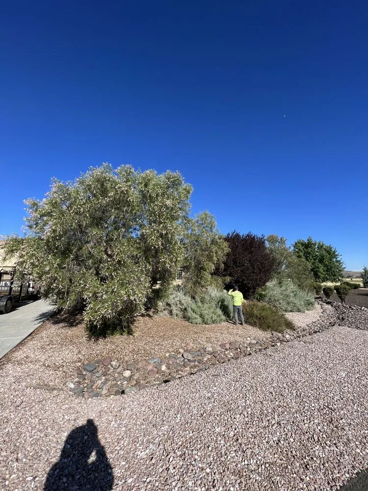 Reliable residential landscaping for homes in Prescott Valley, AZ by M&G Landscape