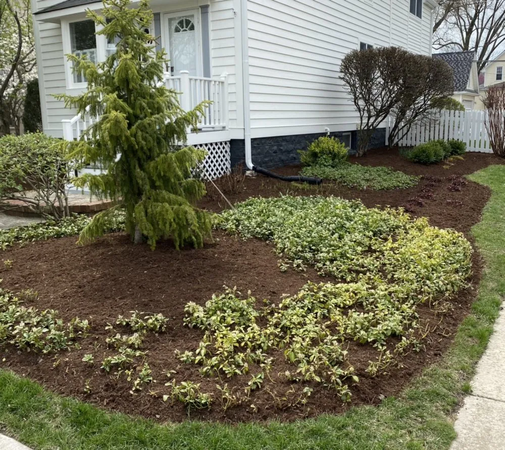 Affordable residential landscaping for beautiful yards across Westmont, IL - MG Landscape