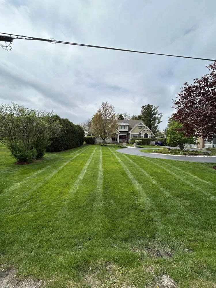 Professional residential landscaping in Westmont, IL by MG Landscape