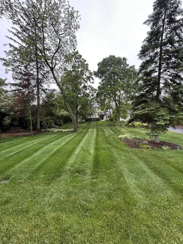 Custom landscape installation in Westmont, IL by MG Landscape