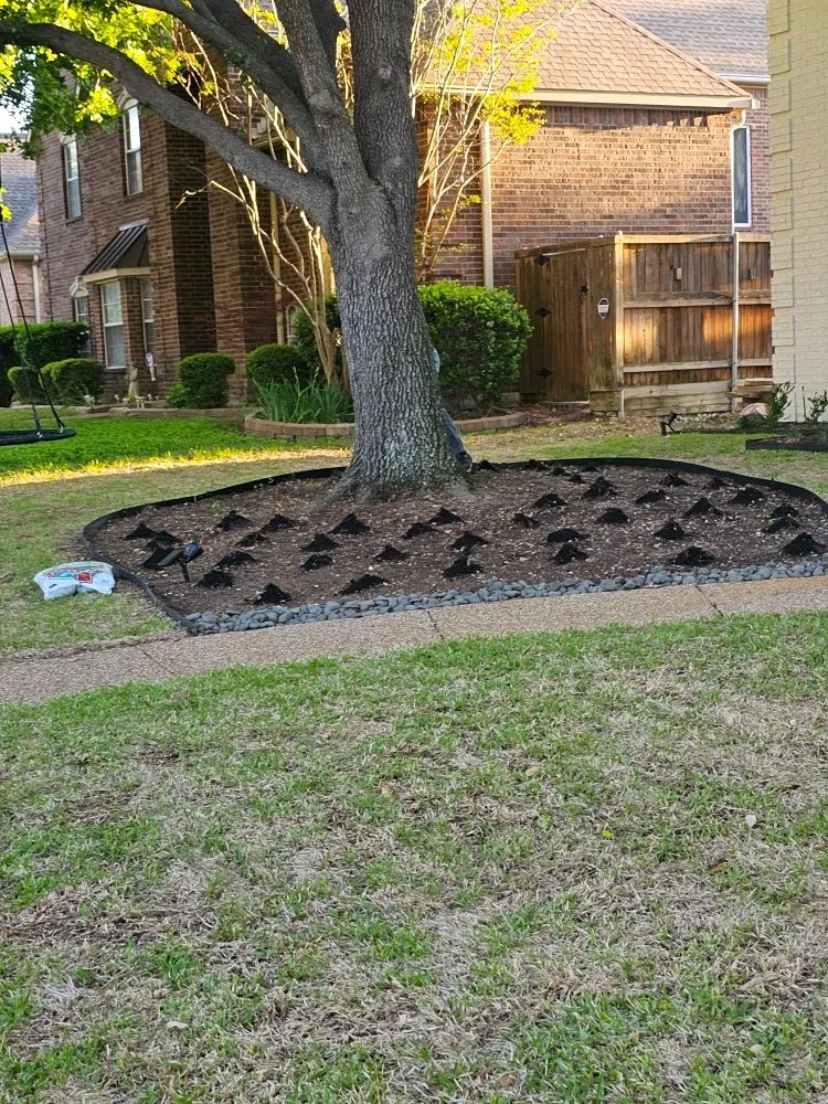 Trusted landscape installation in Plano, TX - MG Landscaping And Much More