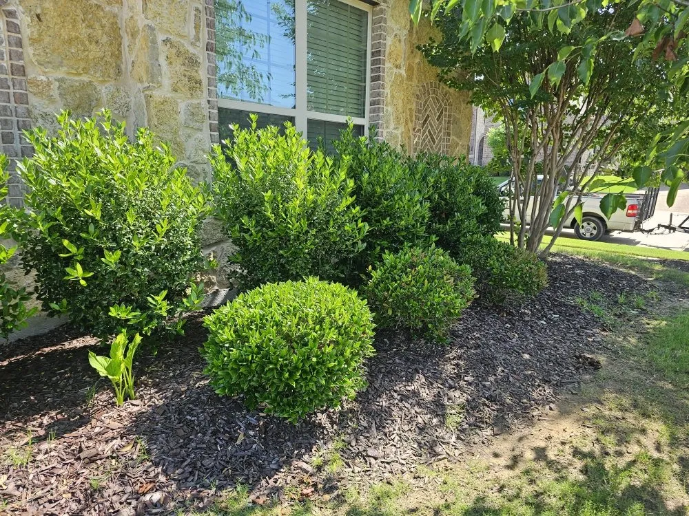 Custom residential landscaping experts serving Plano, TX - MG Landscaping And Much More