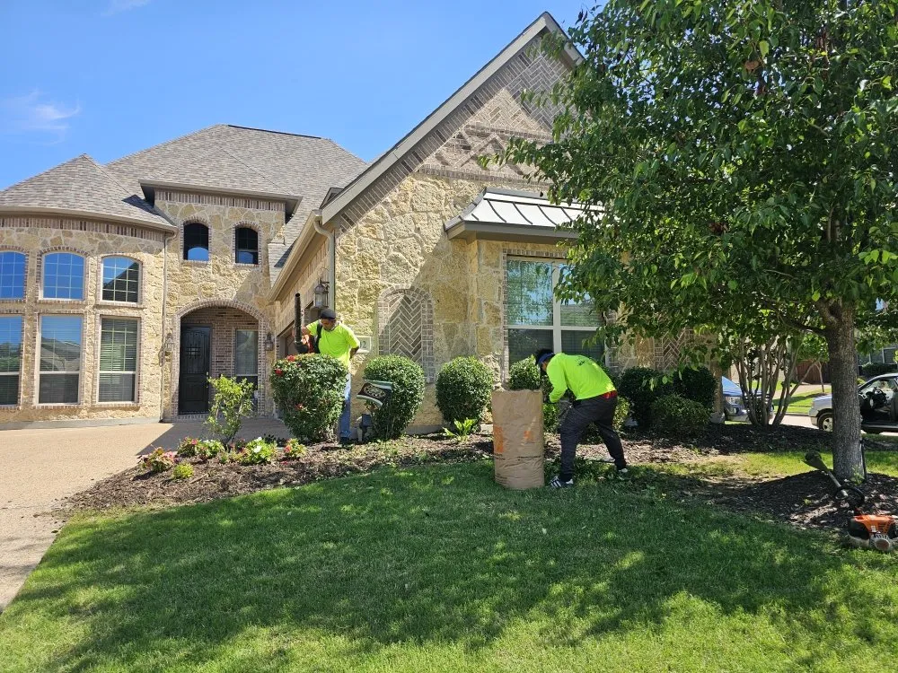 Professional landscape installation in Plano, TX by MG Landscaping And Much More