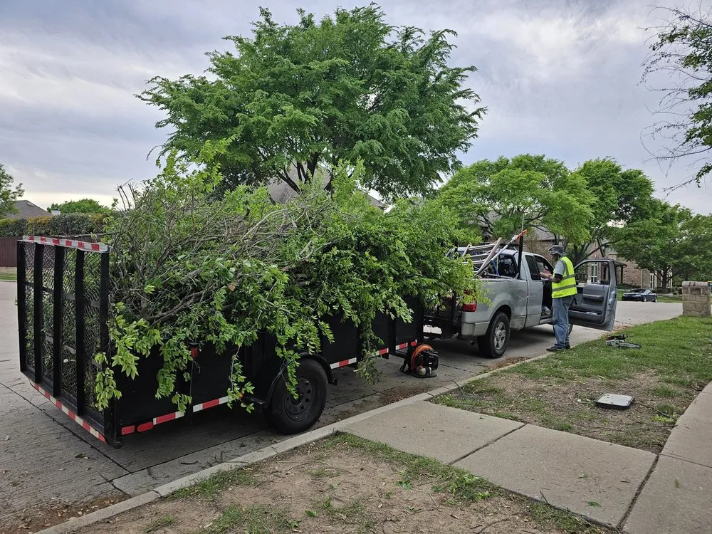Top-rated outdoor landscaping experts serving Plano, TX - MG Landscaping And Much More
