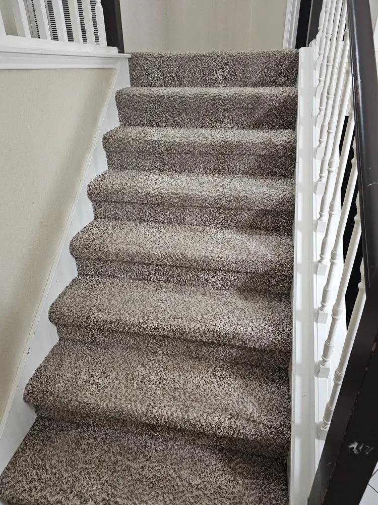 Top-rated garden landscaping in Plano, TX - MG Landscaping And Much More