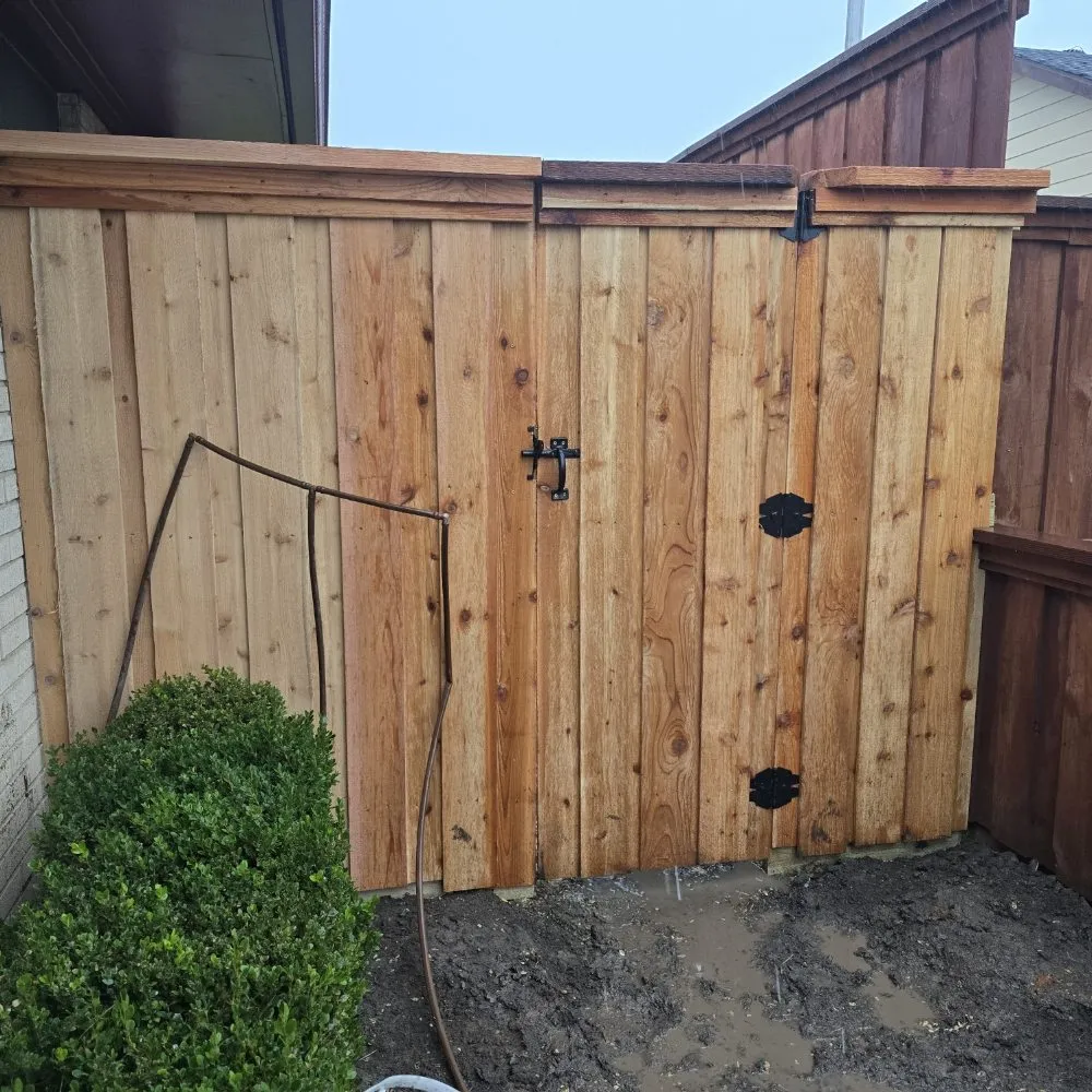 Expert garden landscaping for homes across Plano, TX - MG Landscaping And Much More