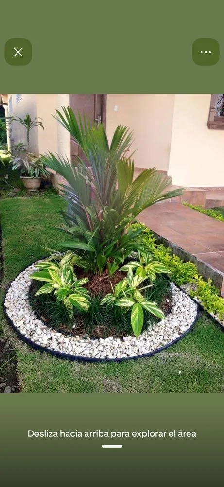 Top-rated yard maintenance in San Antonio, TX by MG Landscaping and Power Washing