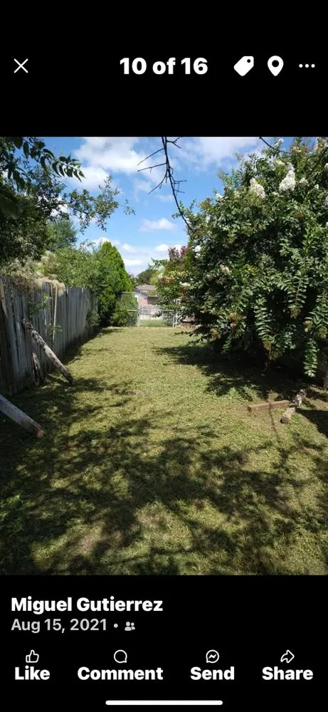 Top-rated lawn care service experts serving San Antonio, TX - MG Landscaping and Power Washing