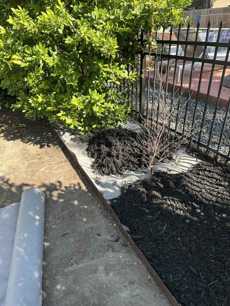 Reliable residential landscaping experts serving San Antonio, TX - MG Landscaping and Power Washing