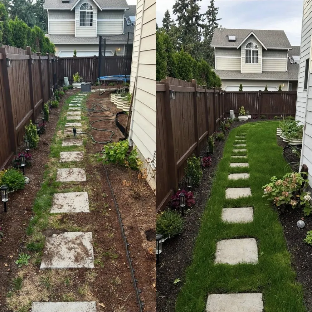 Local landscaping services for year-round maintenance in Bothell, WA by MG Landscaping