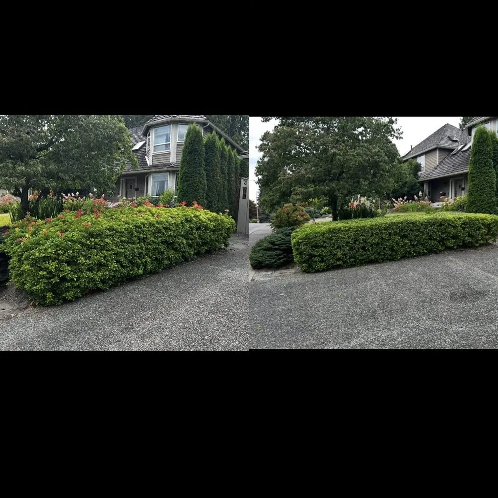Local yard maintenance in Bothell, WA - MG Landscaping