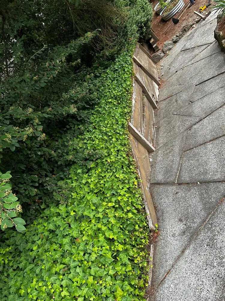 Reliable outdoor landscaping for outdoor upgrades in Bothell, WA by Mg Landscaping