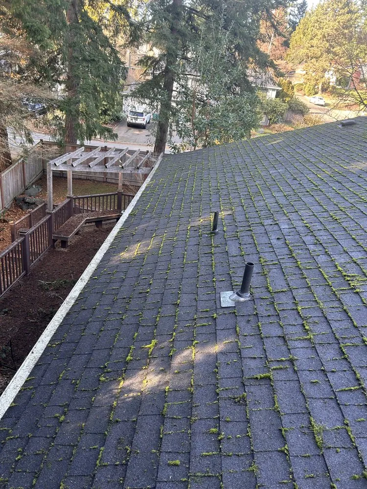 Trusted landscape installation experts serving Bothell, WA - Mg Landscaping