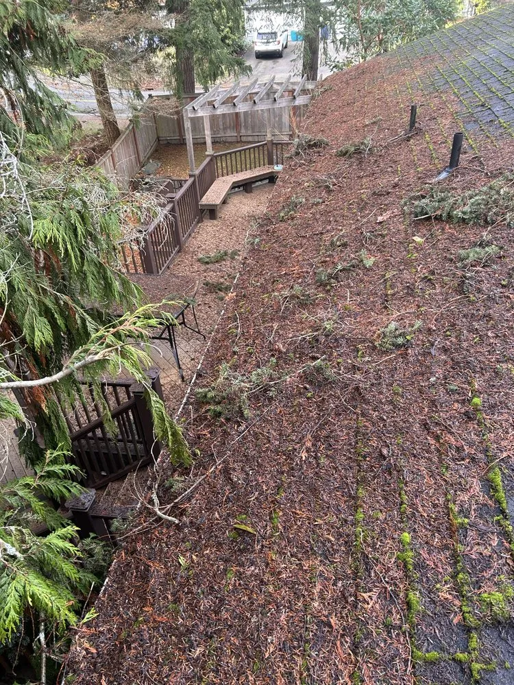 Expert yard cleanup service for outdoor upgrades across Bothell, WA - MG Landscaping