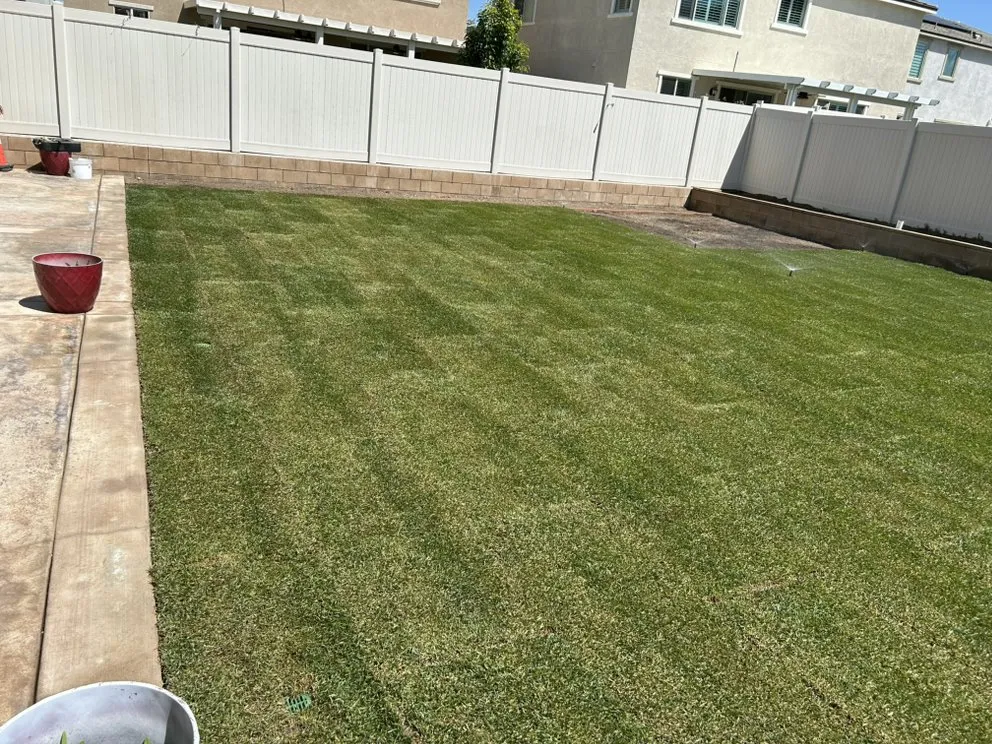 Affordable yard cleanup service experts serving Menifee, CA - MG Landscaping Construction