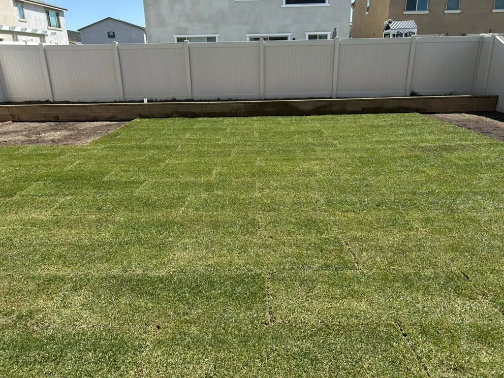 Expert yard cleanup service for year-round maintenance in Menifee, CA by MG Landscaping Construction