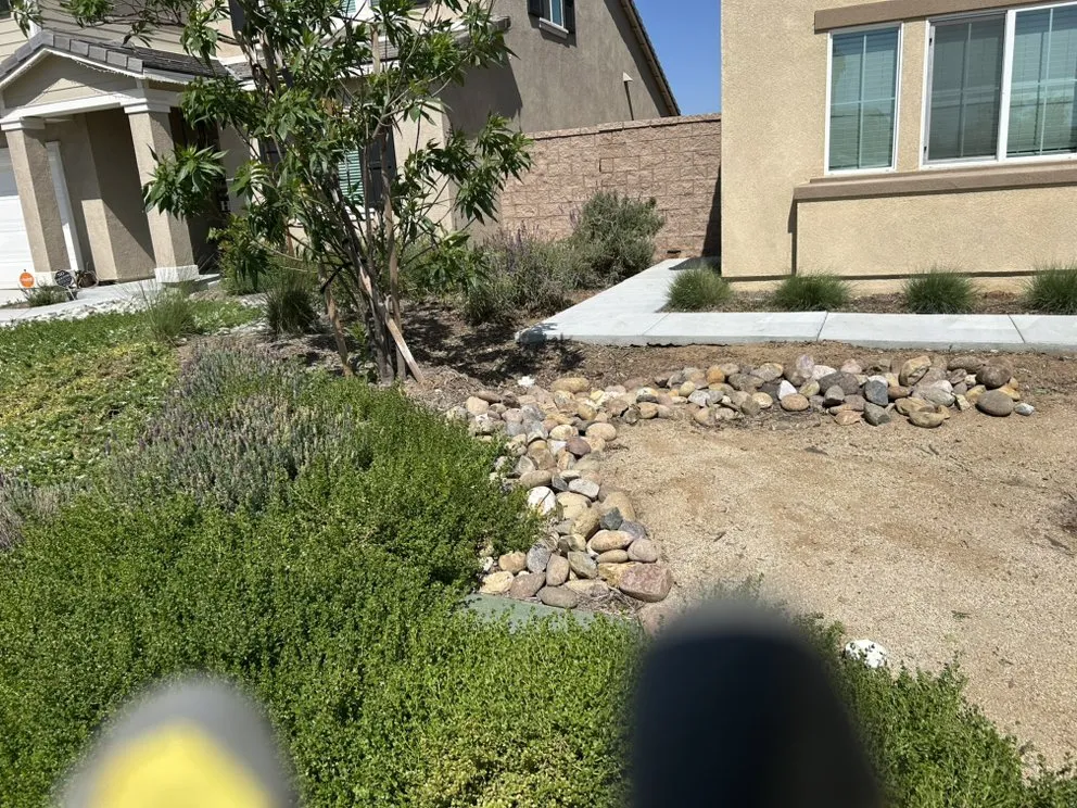 Local yard cleanup service for year-round maintenance across Menifee, CA - MG Landscaping Construction