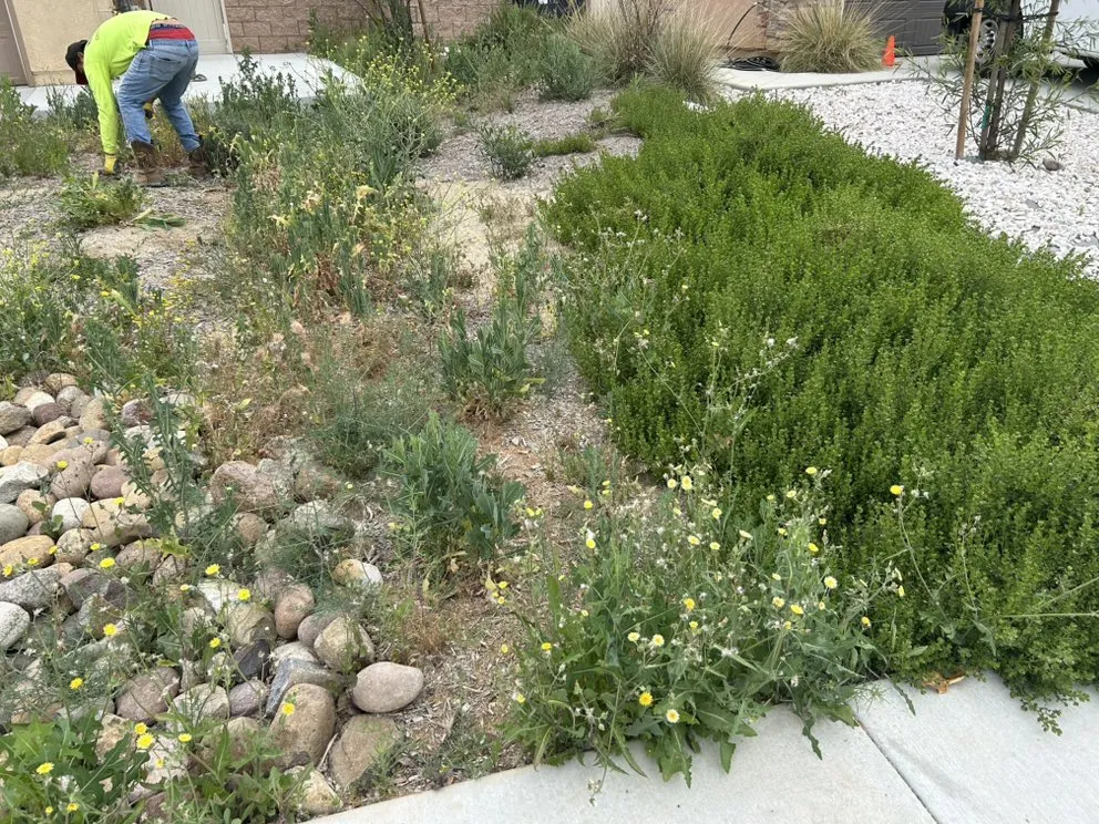 Trusted landscape design in Menifee, CA - MG Landscaping Construction