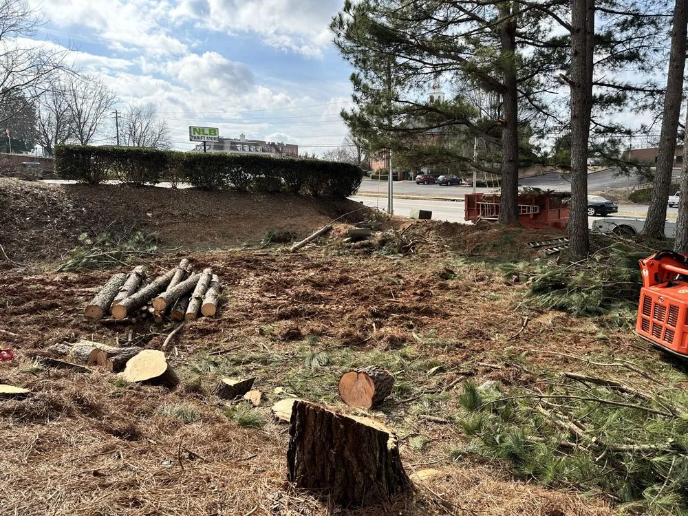 Affordable landscape design near you across Cumming, GA - M&G Landscaping