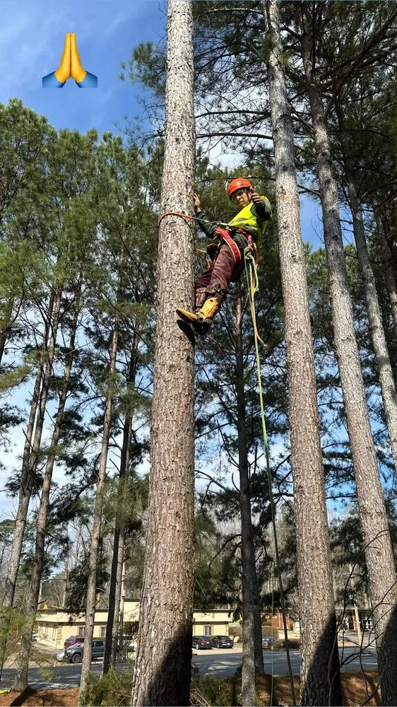 Professional landscape design for outdoor upgrades across Cumming, GA - M&G Landscaping