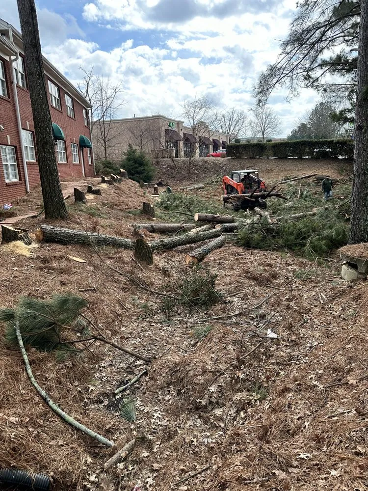 Affordable outdoor landscaping for outdoor upgrades across Cumming, GA - M&G Landscaping