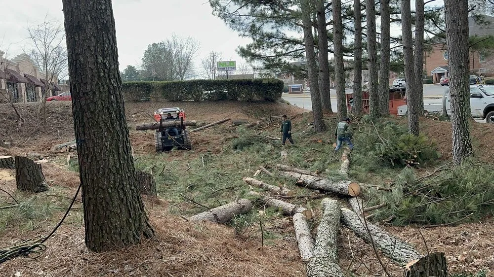 Local yard maintenance for outdoor upgrades across Cumming, GA - M&G Landscaping