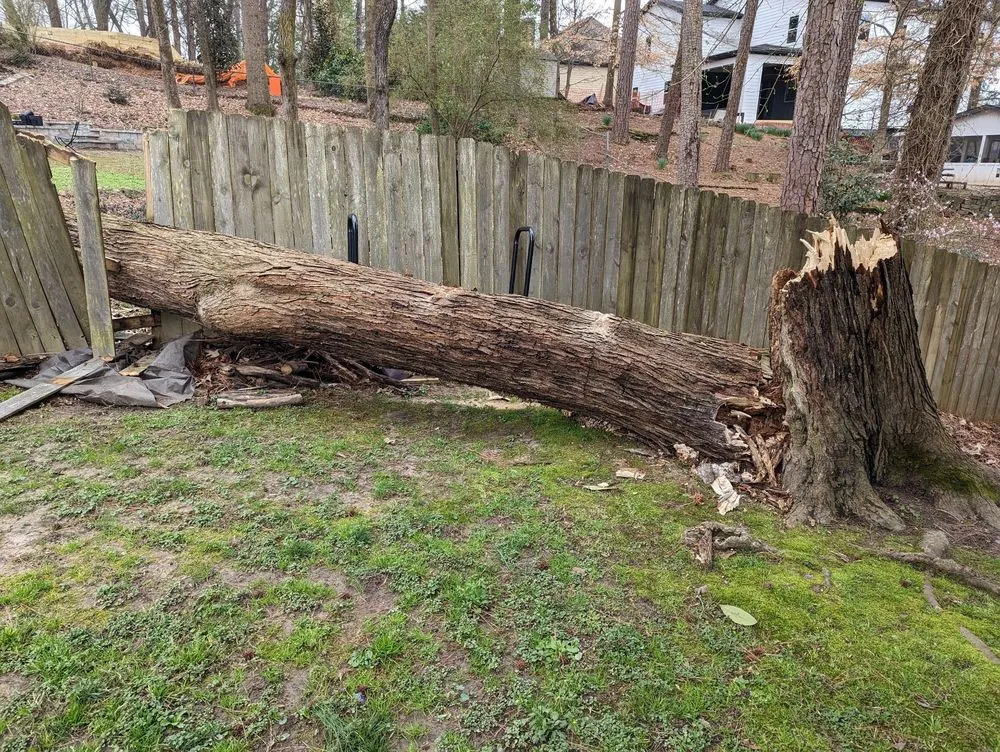 Custom lawn care service in Cumming, GA by M&G Landscaping