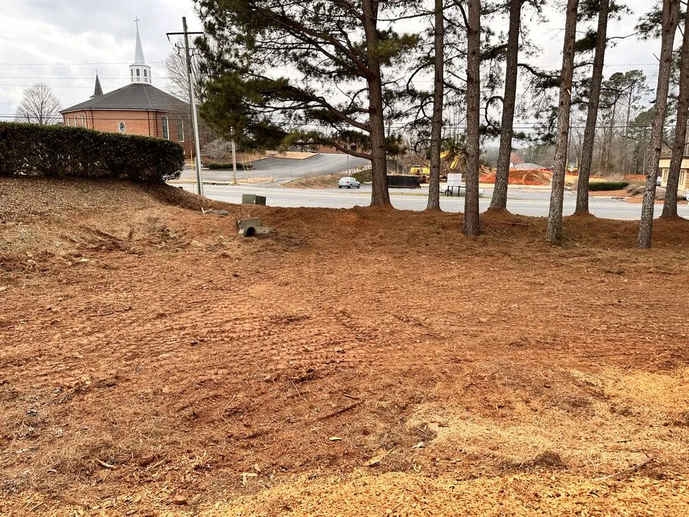 Affordable yard cleanup service for year-round maintenance across Cumming, GA - M&G Landscaping