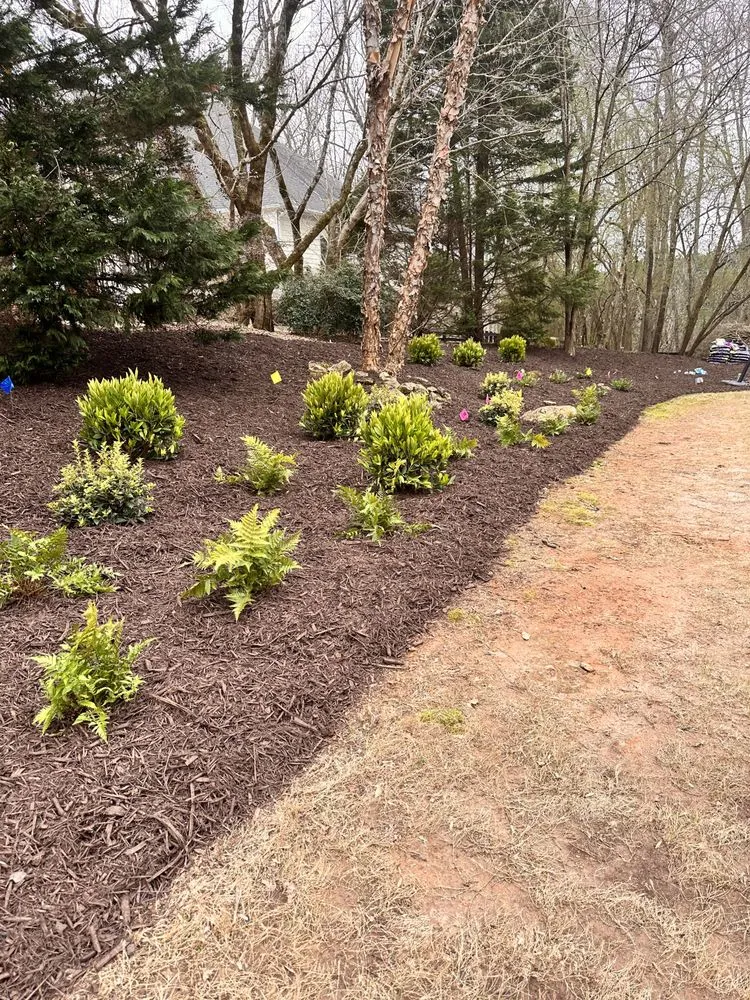 Expert landscaping services in Cumming, GA by M&G Landscaping