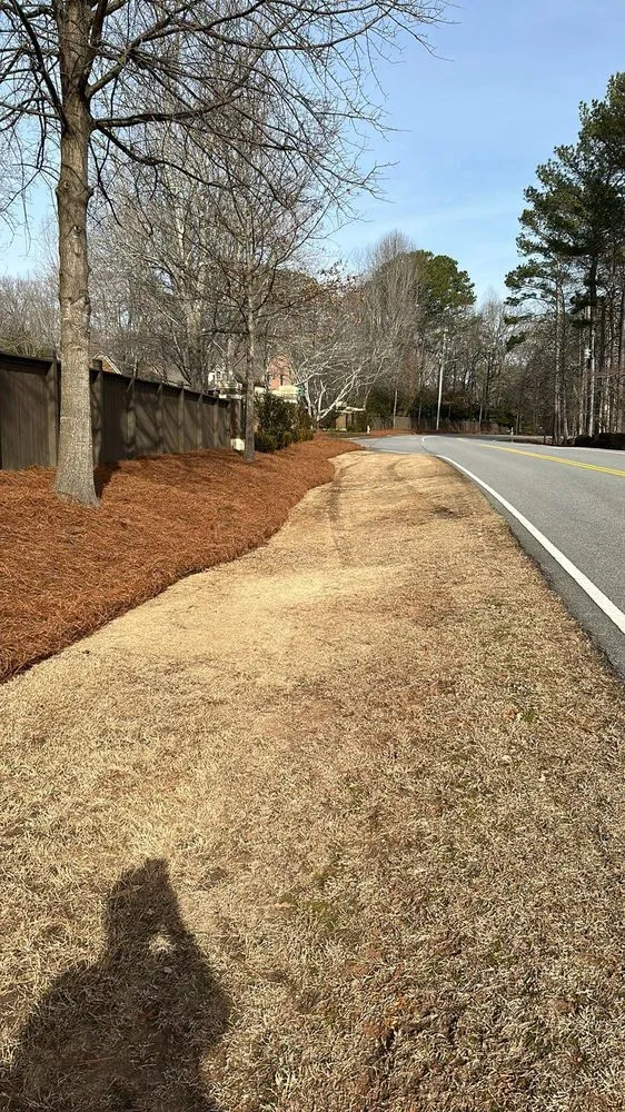 Local landscape installation experts serving Cumming, GA - M&G Landscaping
