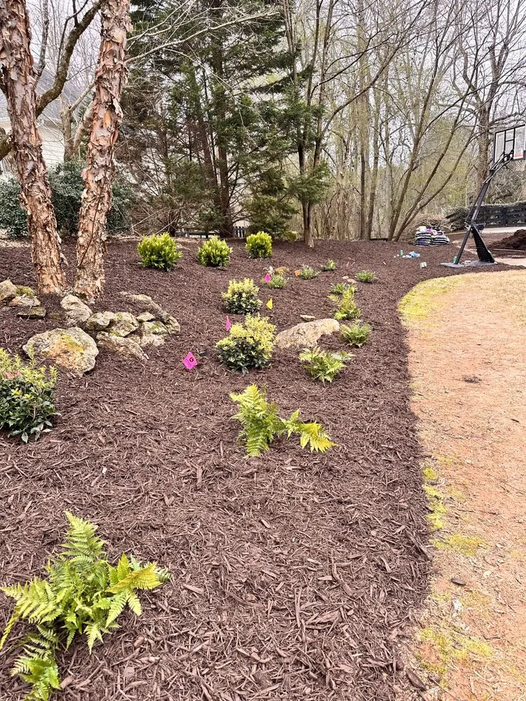 Top-rated lawn care service in Cumming, GA by M&G Landscaping