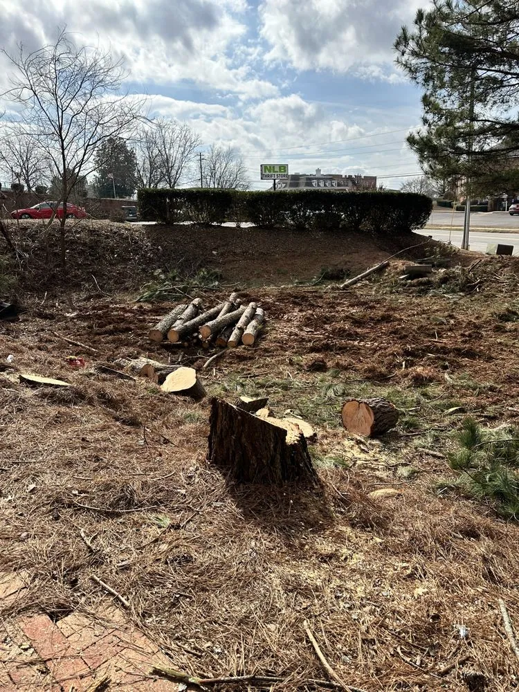 Trusted lawn mowing service in Cumming, GA by M&G Landscaping