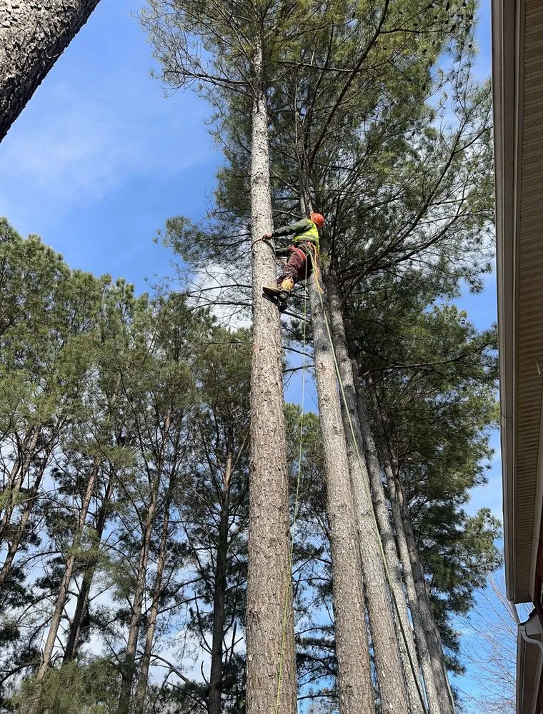 Custom lawn mowing service in Cumming, GA by M&G Landscaping