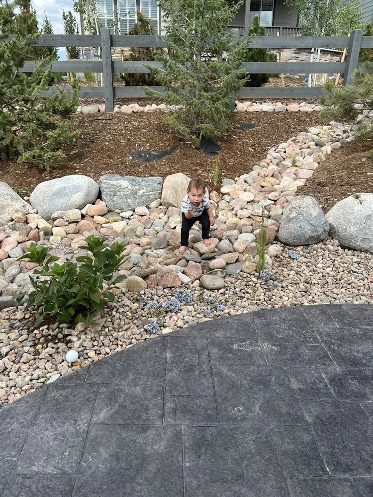 Local yard maintenance in Denver, CO - MG landscaping