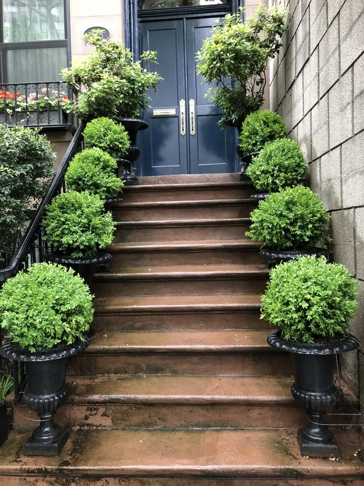 Expert yard maintenance in Elmont, NY by MG Landscaping