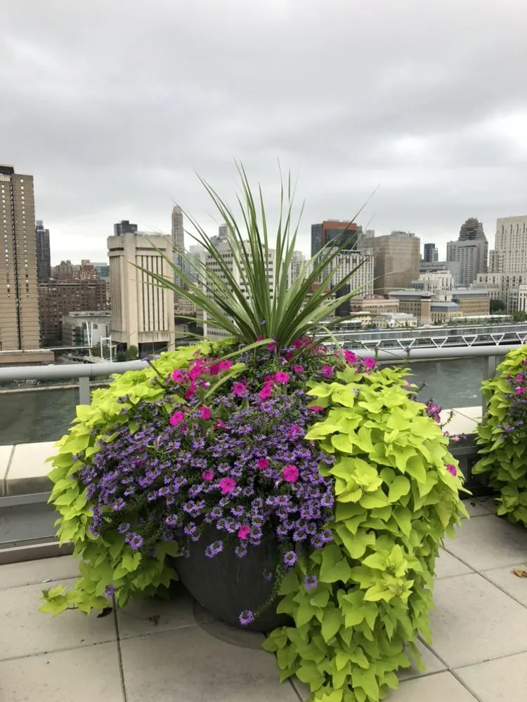 Custom landscape installation in Elmont, NY by MG Landscaping